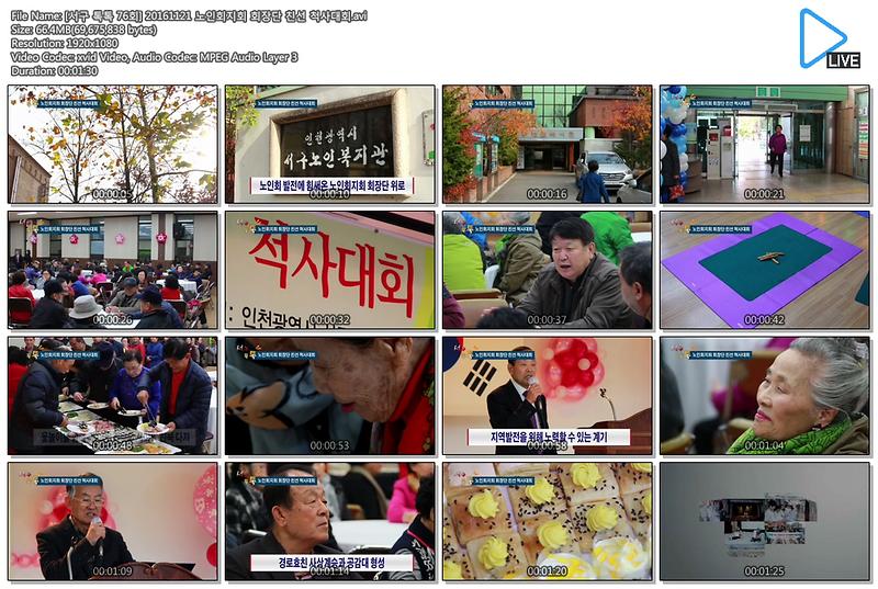 [서구 톡톡 76회] 20161121 노인회지회 회장단 친선 척사대회 사진